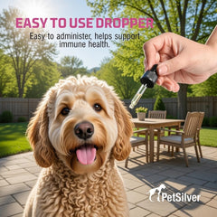 PetSilver compte-gouttes gros plan pour dosage précis et simple