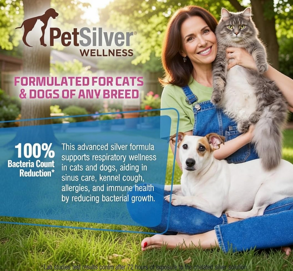 Chat accepté PetSilver dans la bouche pour soulagement respiratoire