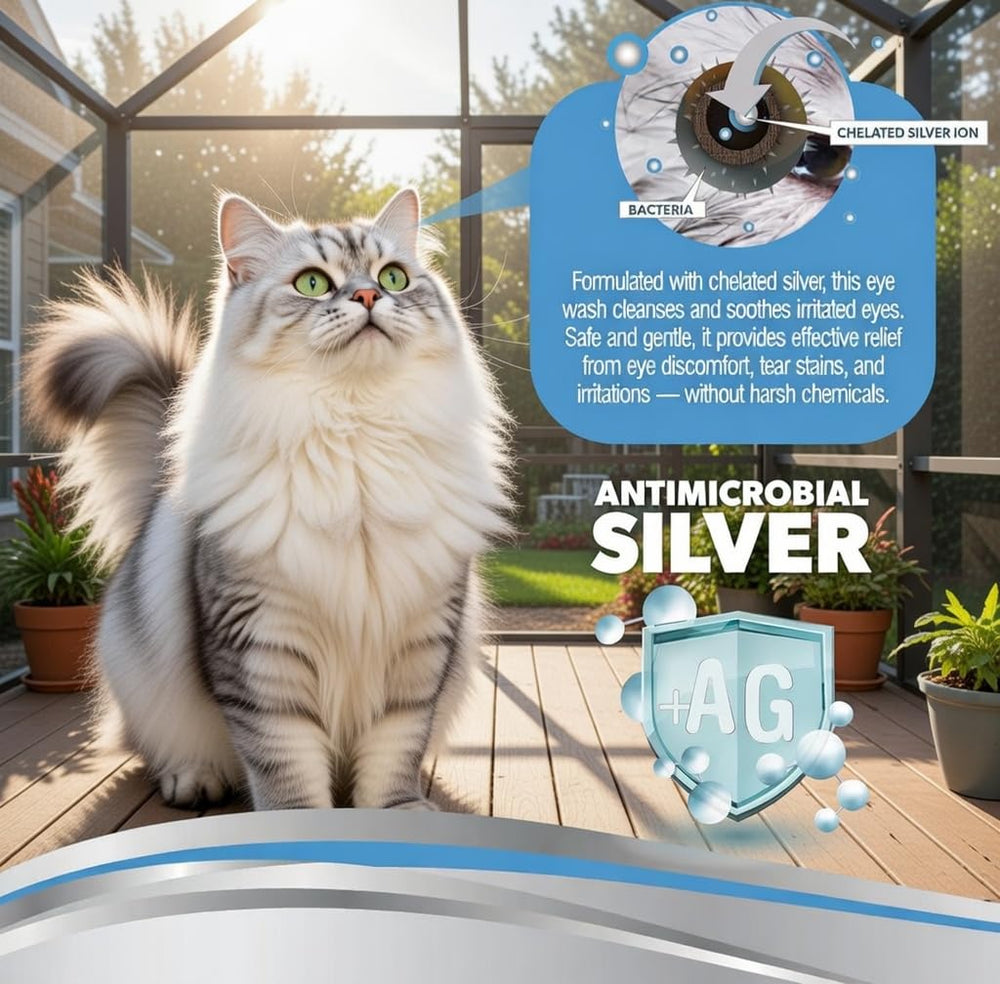 PetSilver gouttes en usage sur un chien, facilite le nettoyage des yeux rapidement