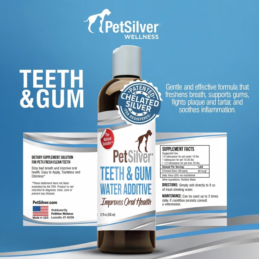 PetSilver utilisé près d'un chien et chat montrant confort et acceptation