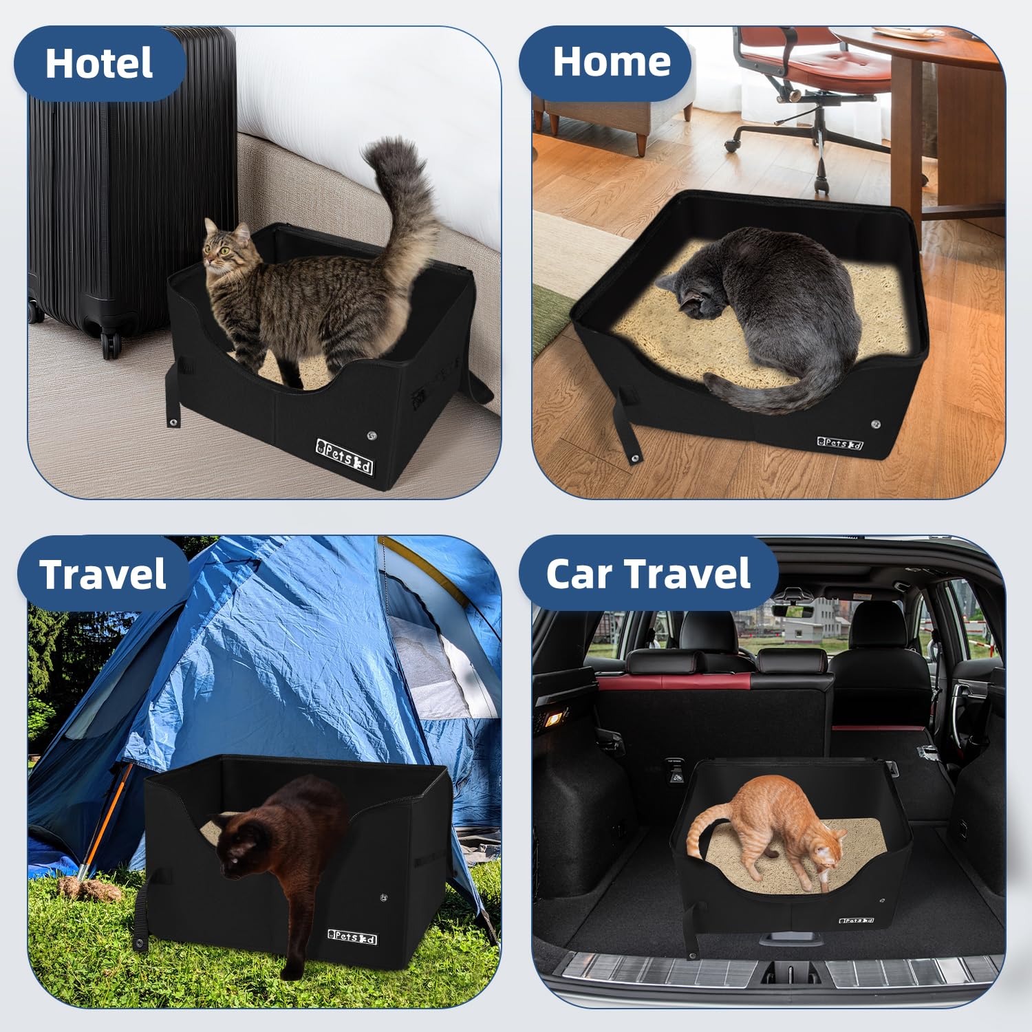 Petskd mise à l’échelle avec chat, dimensions spacieuses et confort
