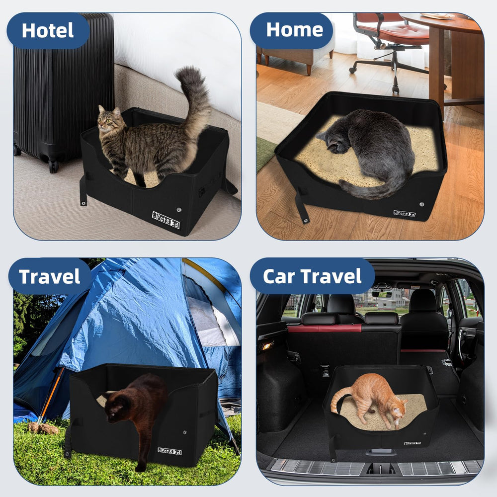 Petskd mise à l’échelle avec chat, dimensions spacieuses et confort