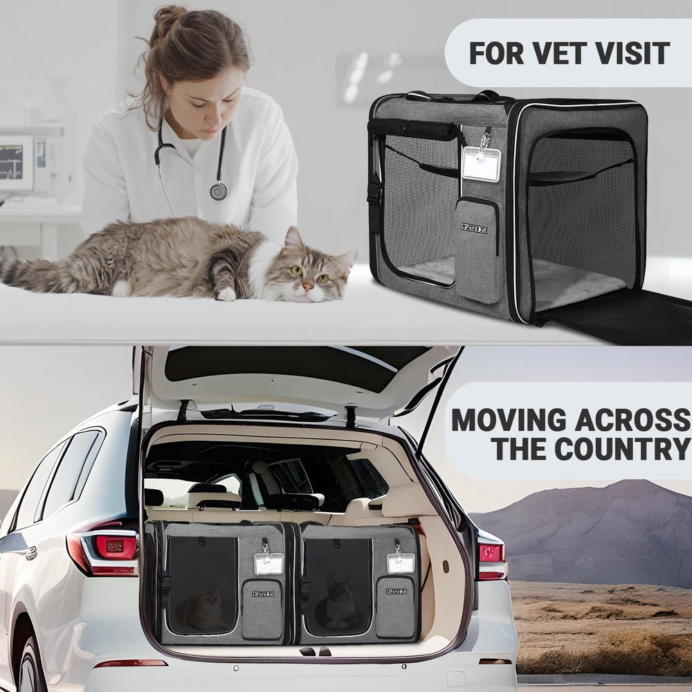 Petskd comparaison taille avec chat à côté pour évaluer espace et confort du modèle