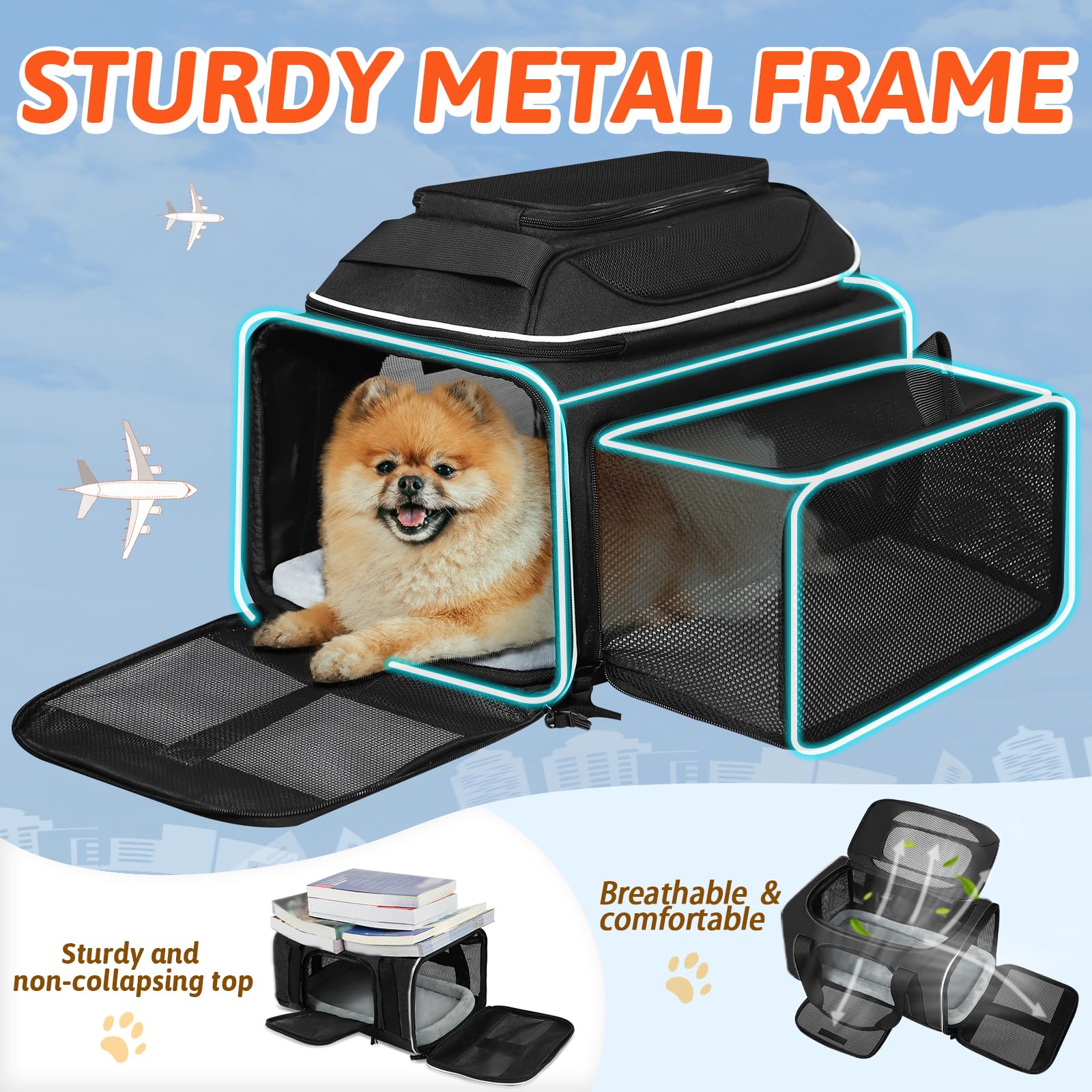 Petskd comparaison taille avec petit chien illustrant capacité recommandée