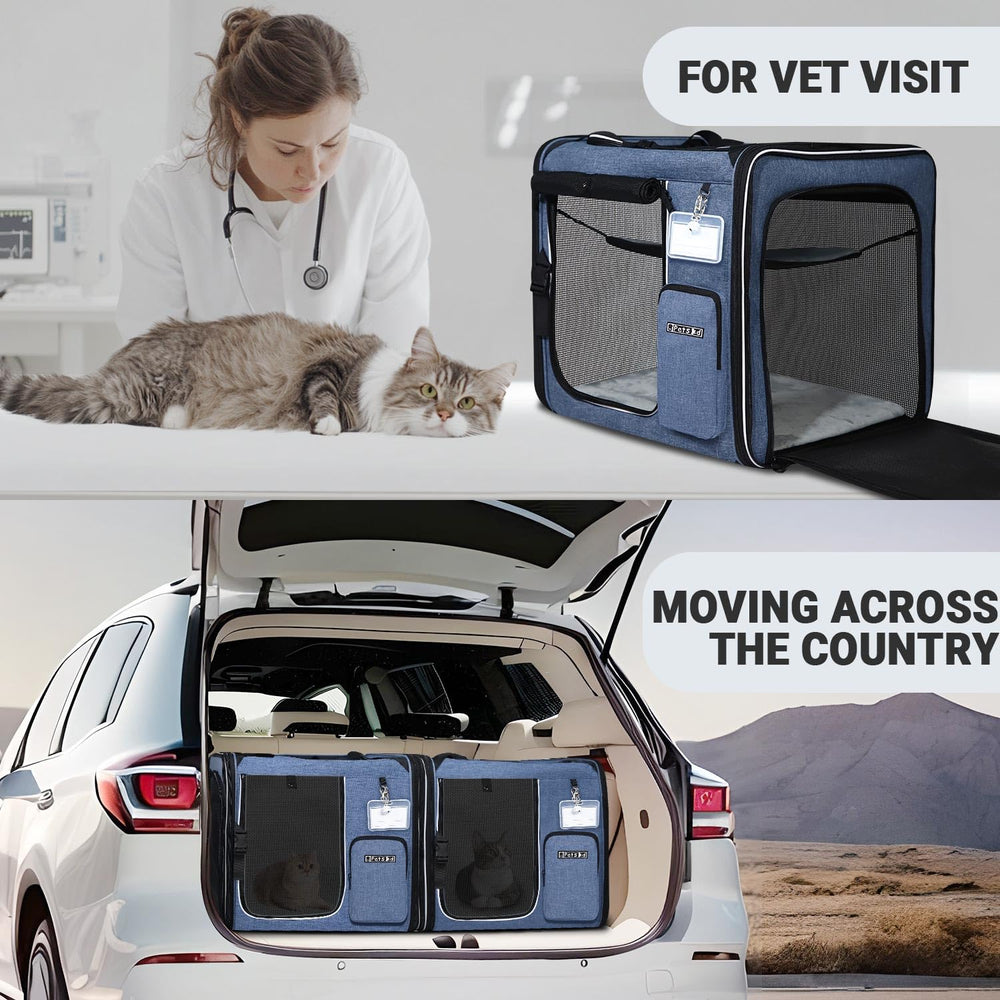 Petskd comparaison taille avec chat montrant dimensions et capacité pour deux animaux