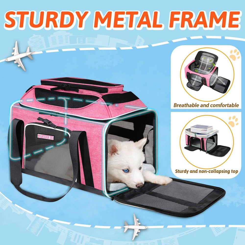 Petskd comparaison taille montrant échelle et dimensions pour choisir animal