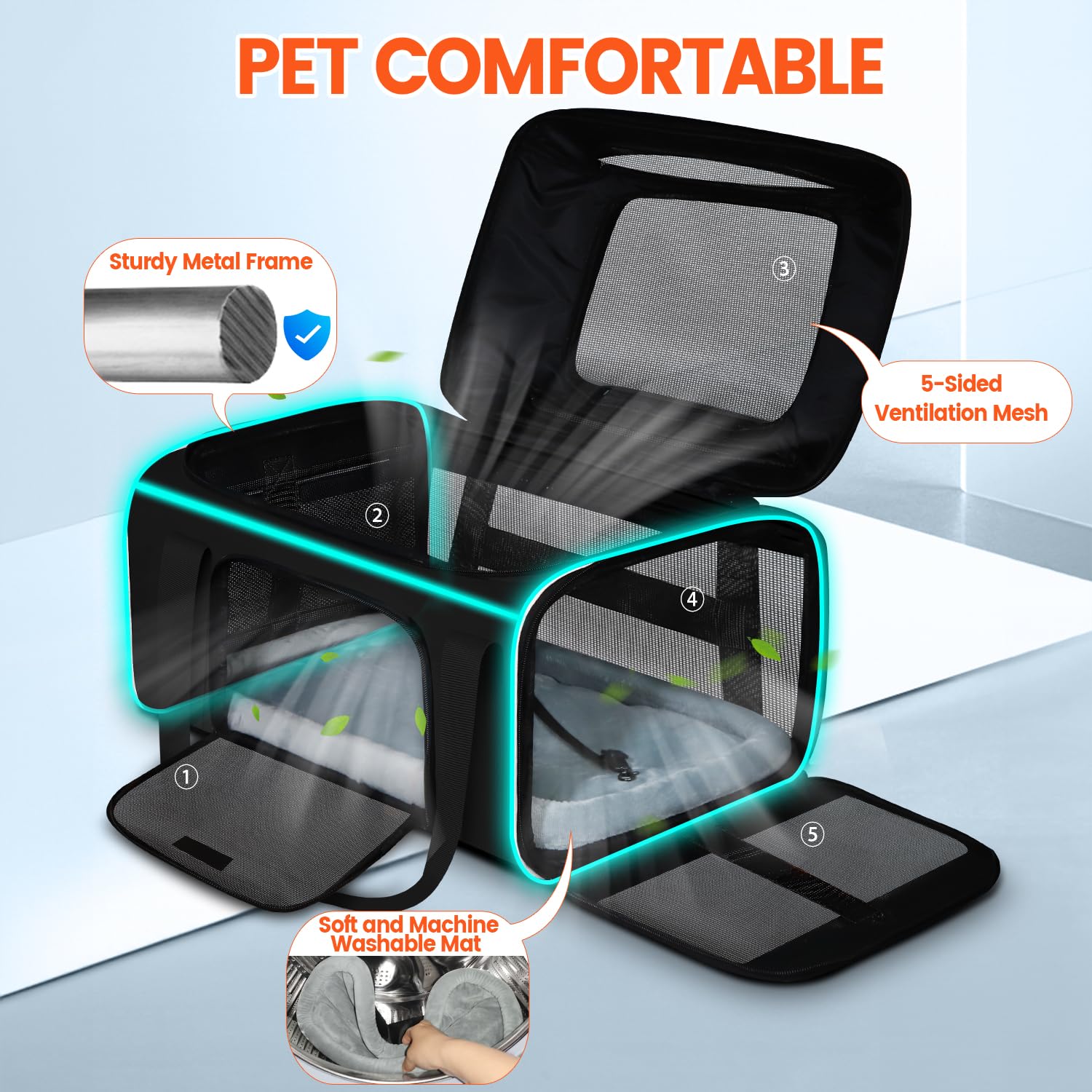 Petskd transporteur en situation urbaine facilitant déplacements et voyages