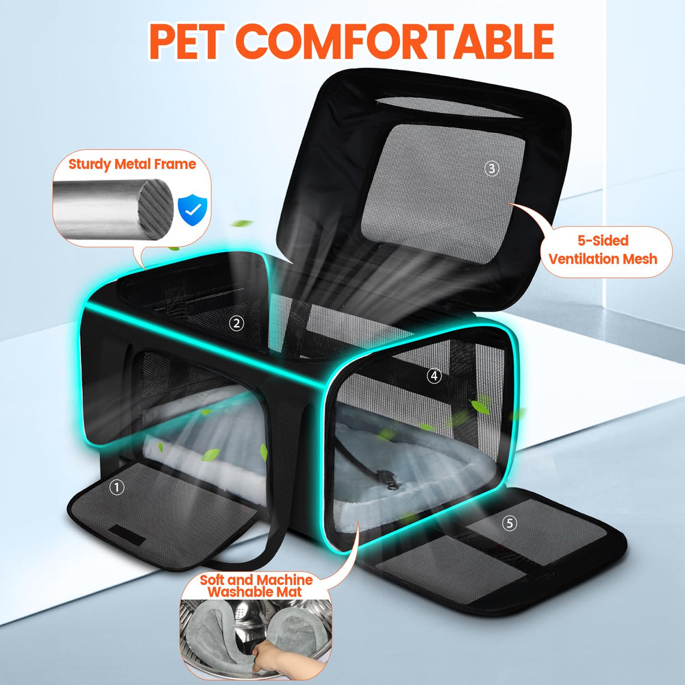 Petskd transporteur en situation urbaine facilitant déplacements et voyages