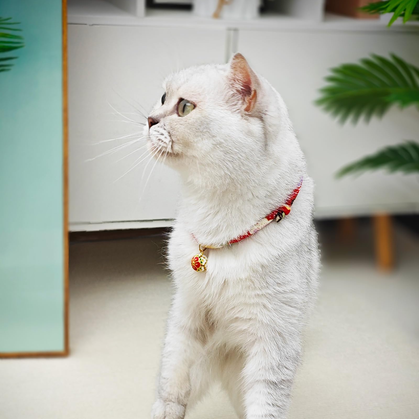 PetsMeow boucle breakaway et clochette visibles garantissant sécurité pratique