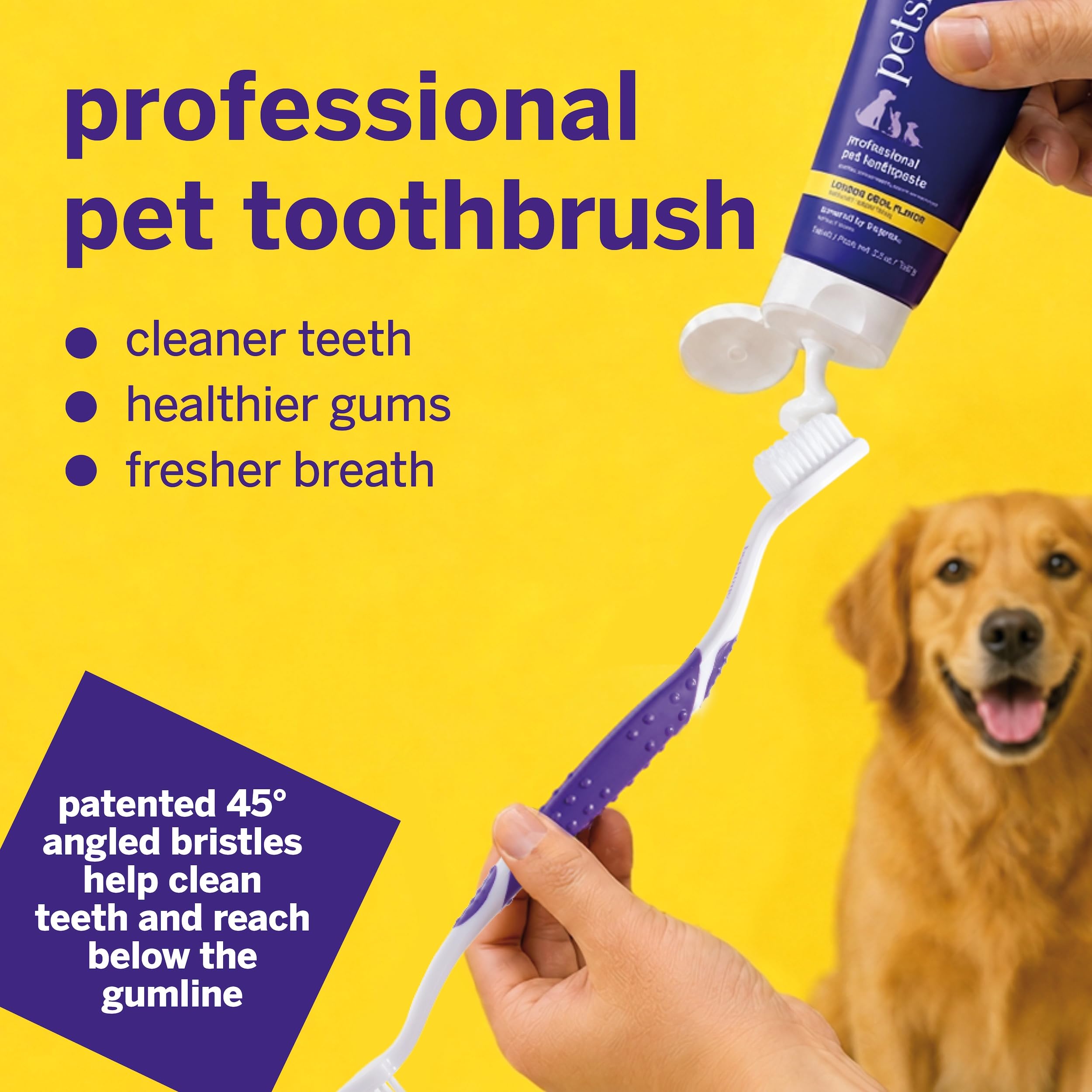 petsmile tête inclinée 45° en gros plan, accès amélioré au bord gingival