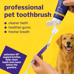 petsmile tête inclinée 45° en gros plan, accès amélioré au bord gingival