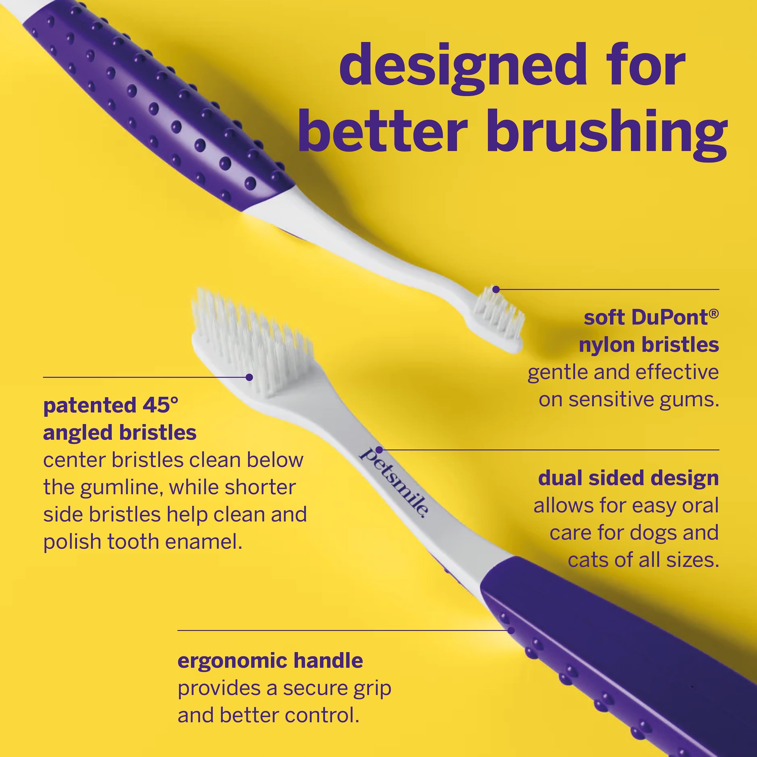petsmile brossage chien en situation, maintien d'une hygiène buccale régulière