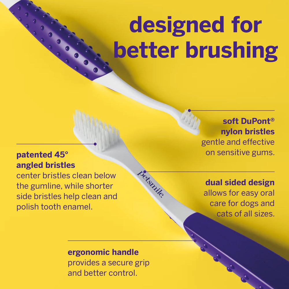 petsmile brossage chien en situation, maintien d'une hygiène buccale régulière