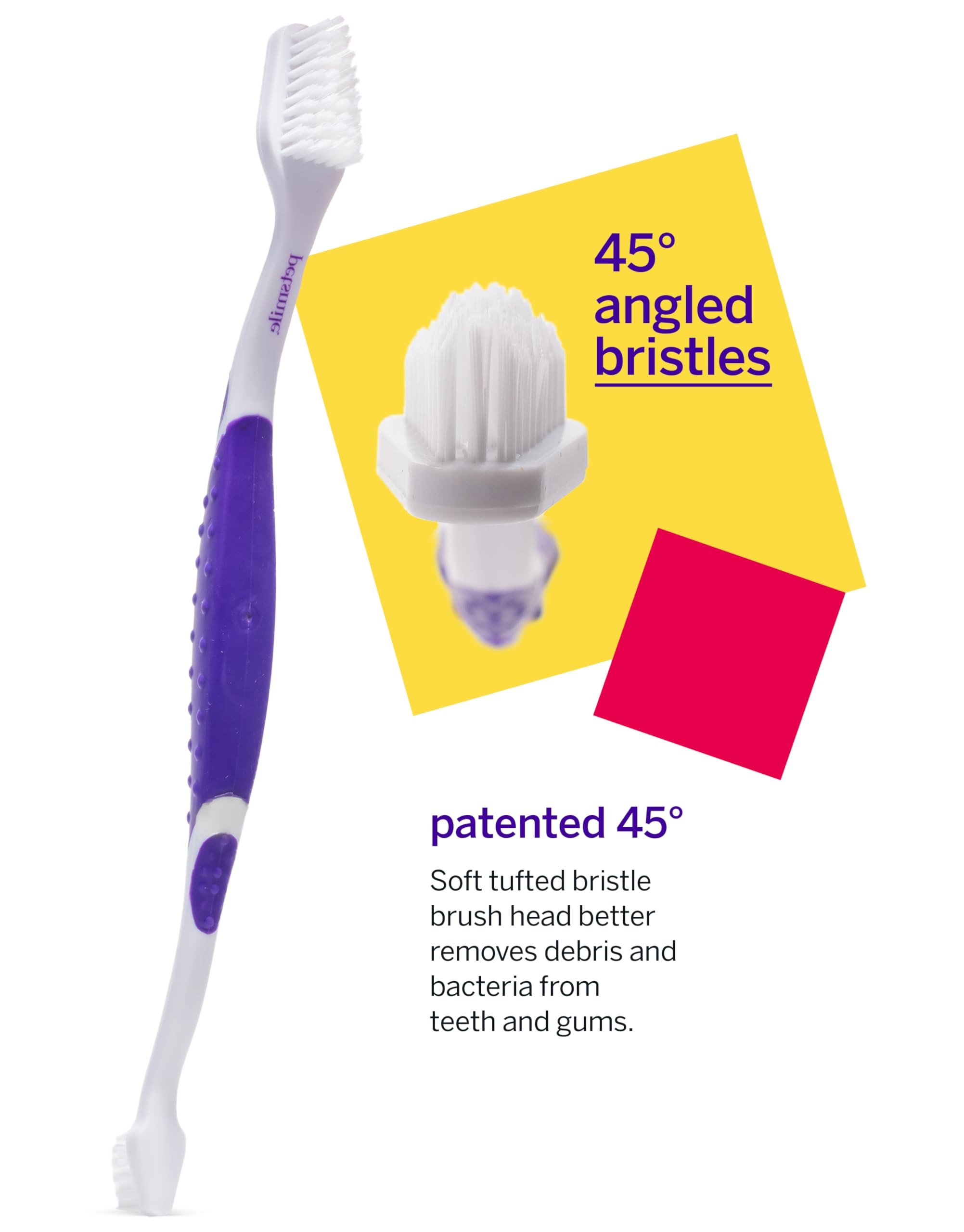 petsmile démonstration brossage sur chien pour routine d'hygiène simple
