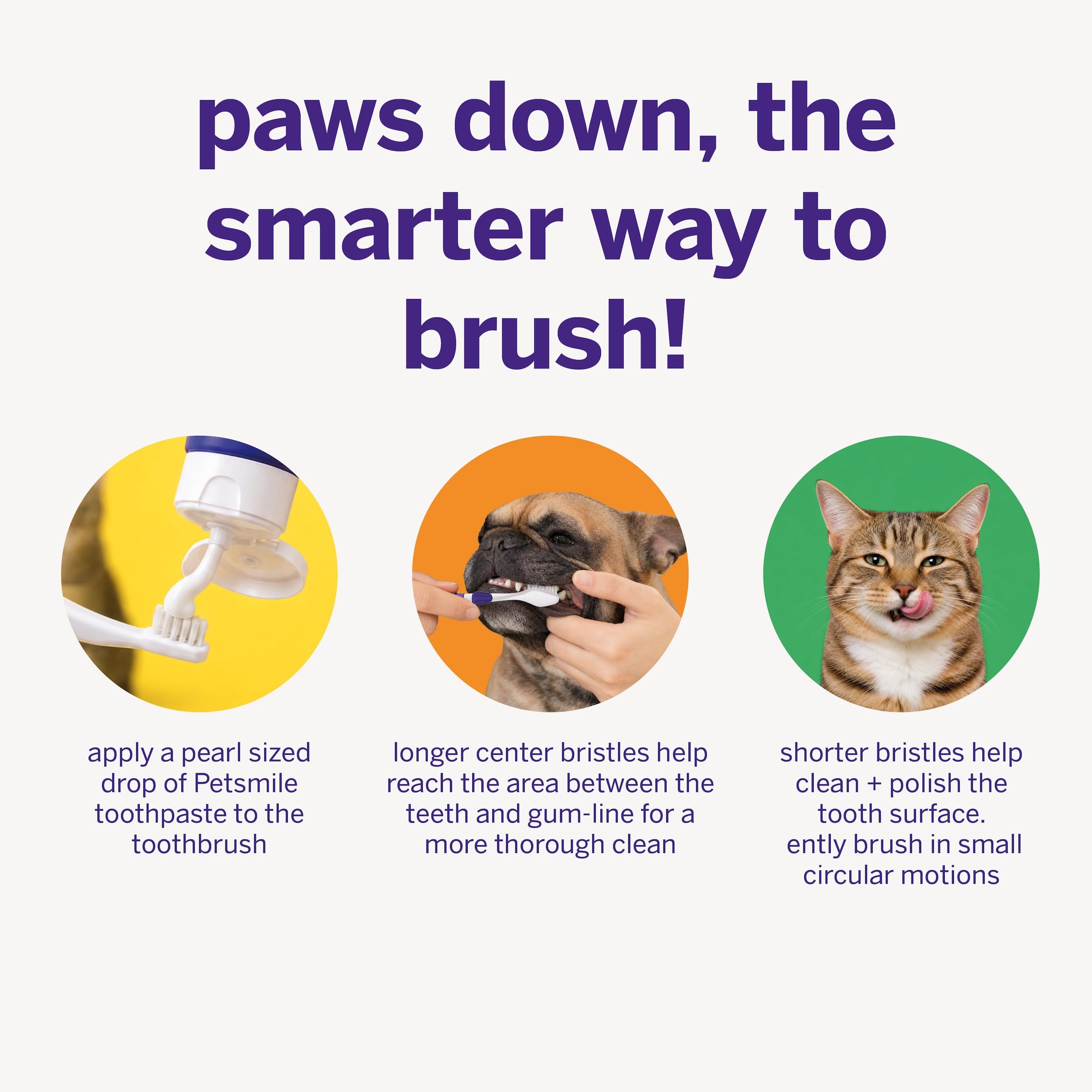 petsmile manche ergonomique détail, prise sûre pour brossages calmes