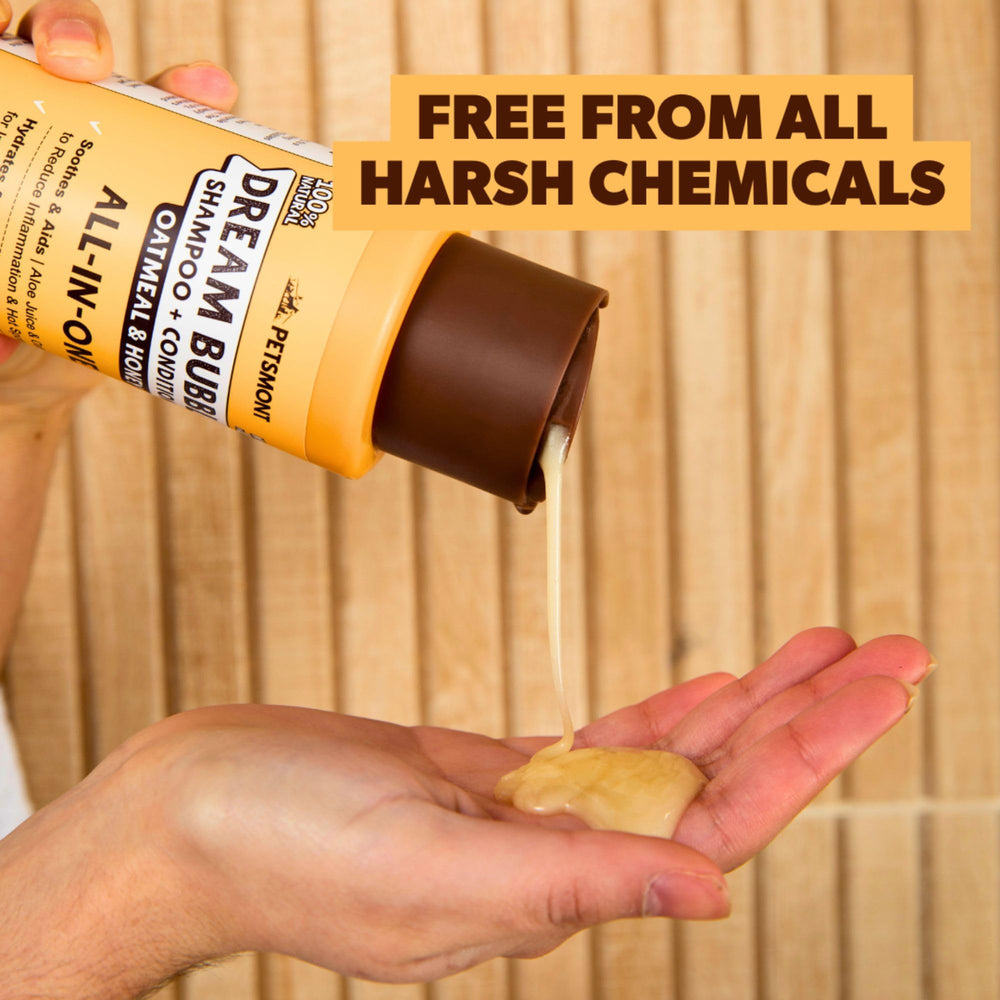 Petsmont application sur chien en baignoire montrant nettoyage et confort