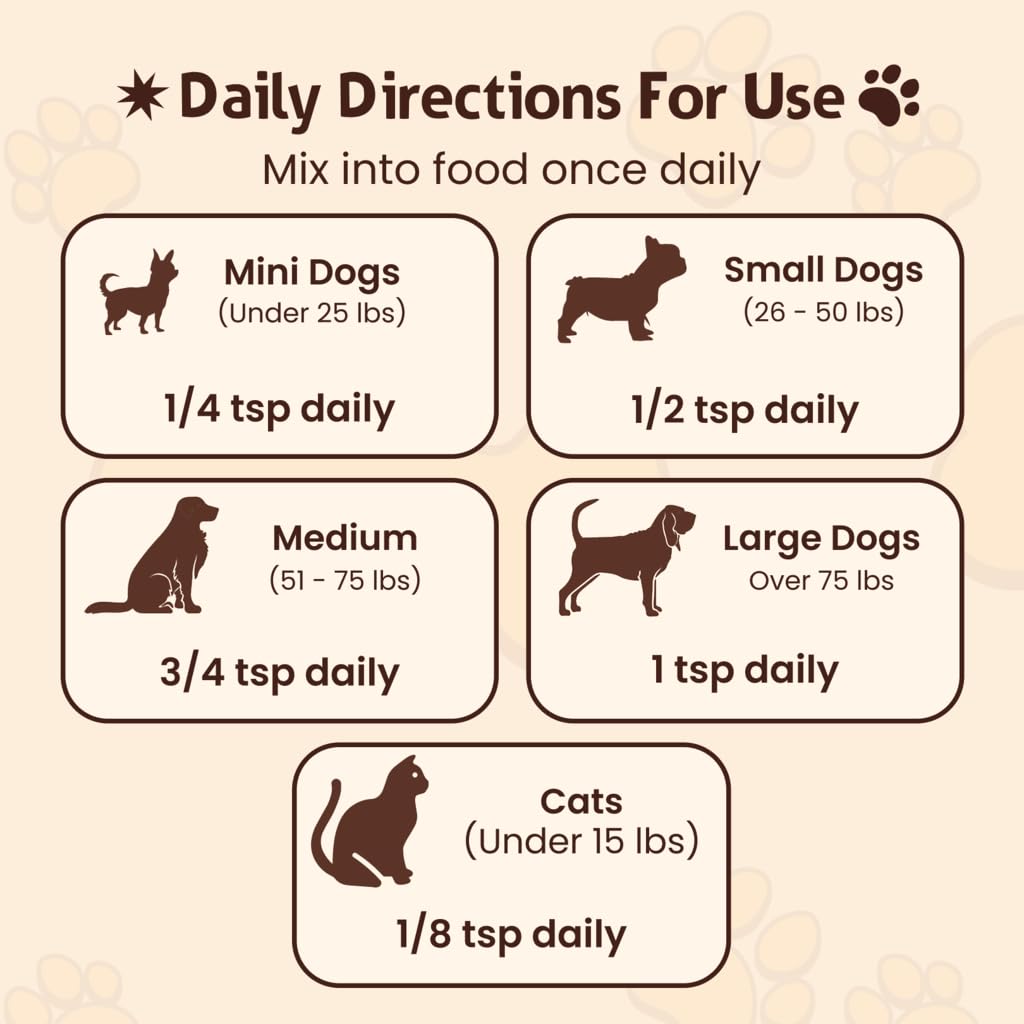 Poudre Petsmont Buddy Guard saupoudrée sur croquettes pour acceptation alimentaire rapide