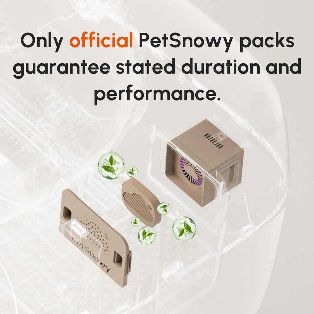 PetSnowy Robertet gros plan sur feuille illustrant texture et diffusion régulière