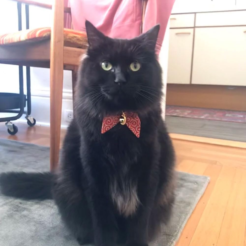 PetSoKoo couture fait main finition soignée qualité durable