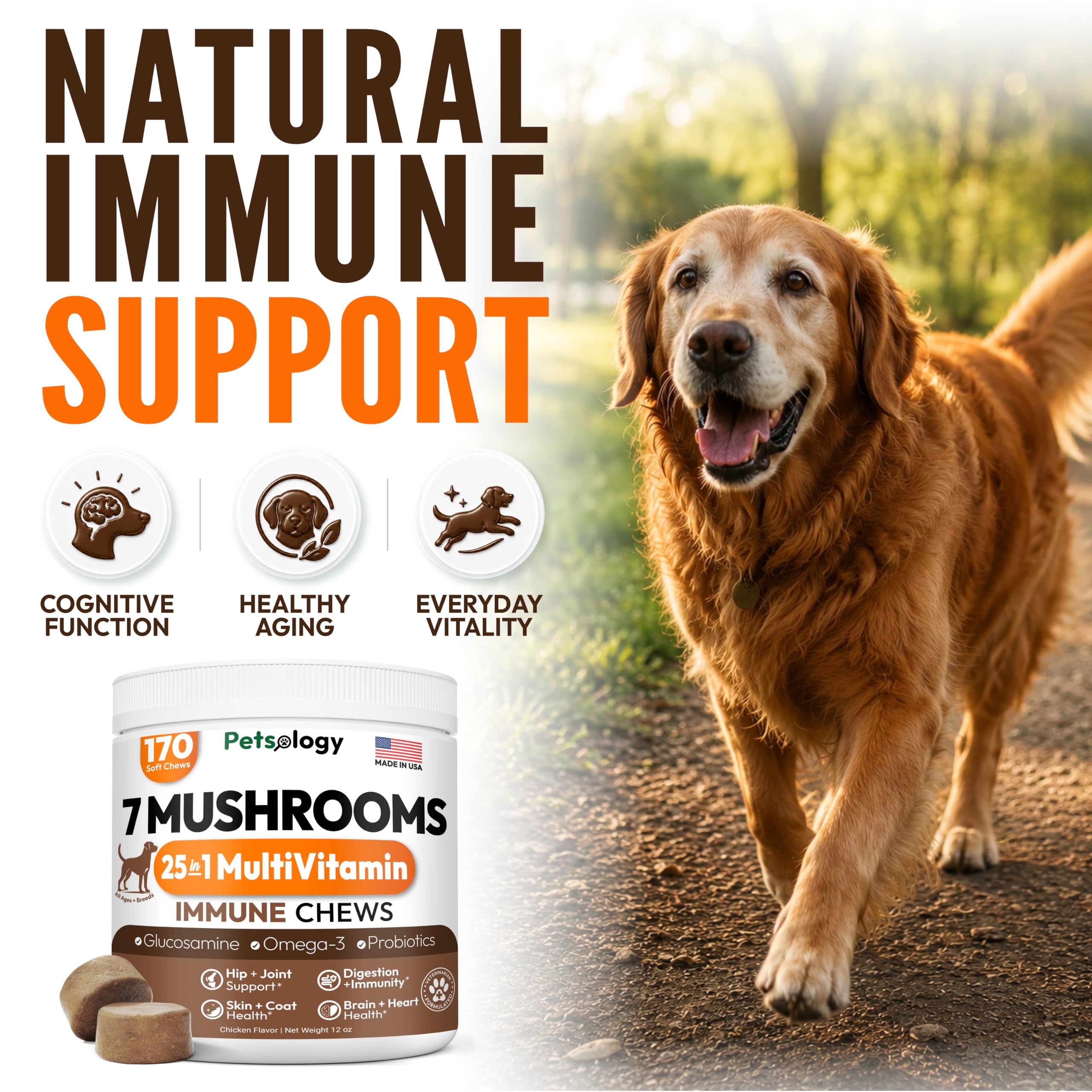Petsology texture proche du masticable pour appétence et facilité