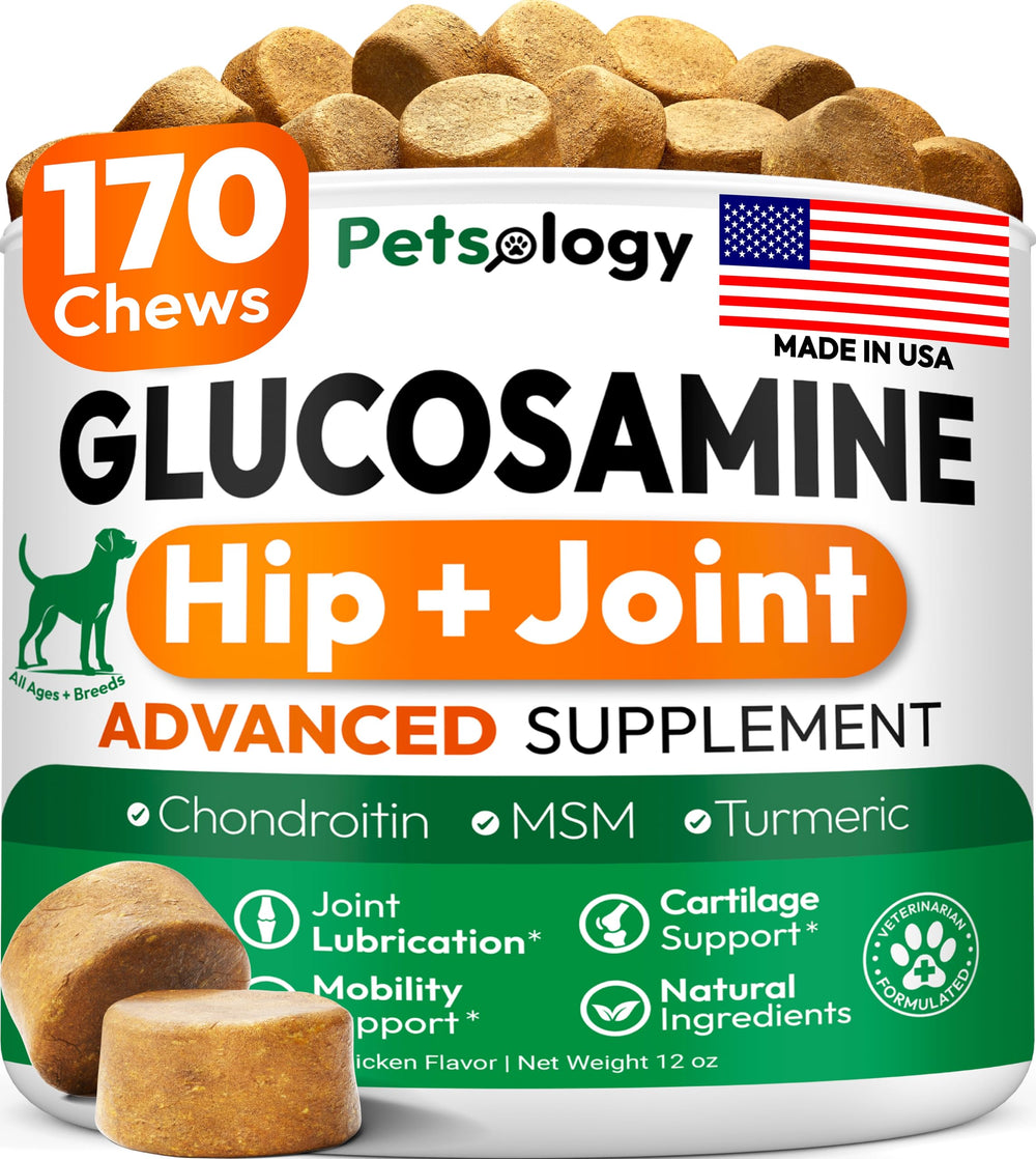Petsology emballage avant montrant 170 friandises, bénéfice confiance qualité
