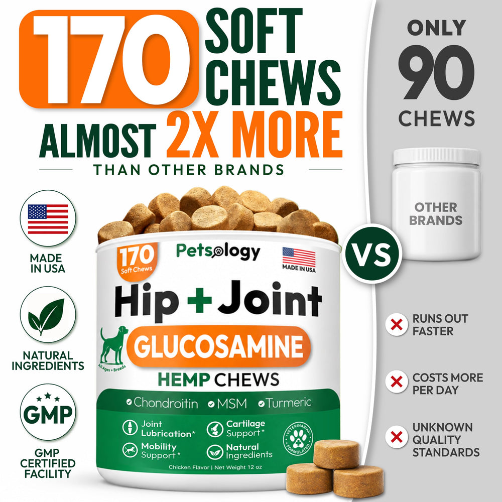 Petsology mastic gros plan montrant texture appétente et soutien articulaire