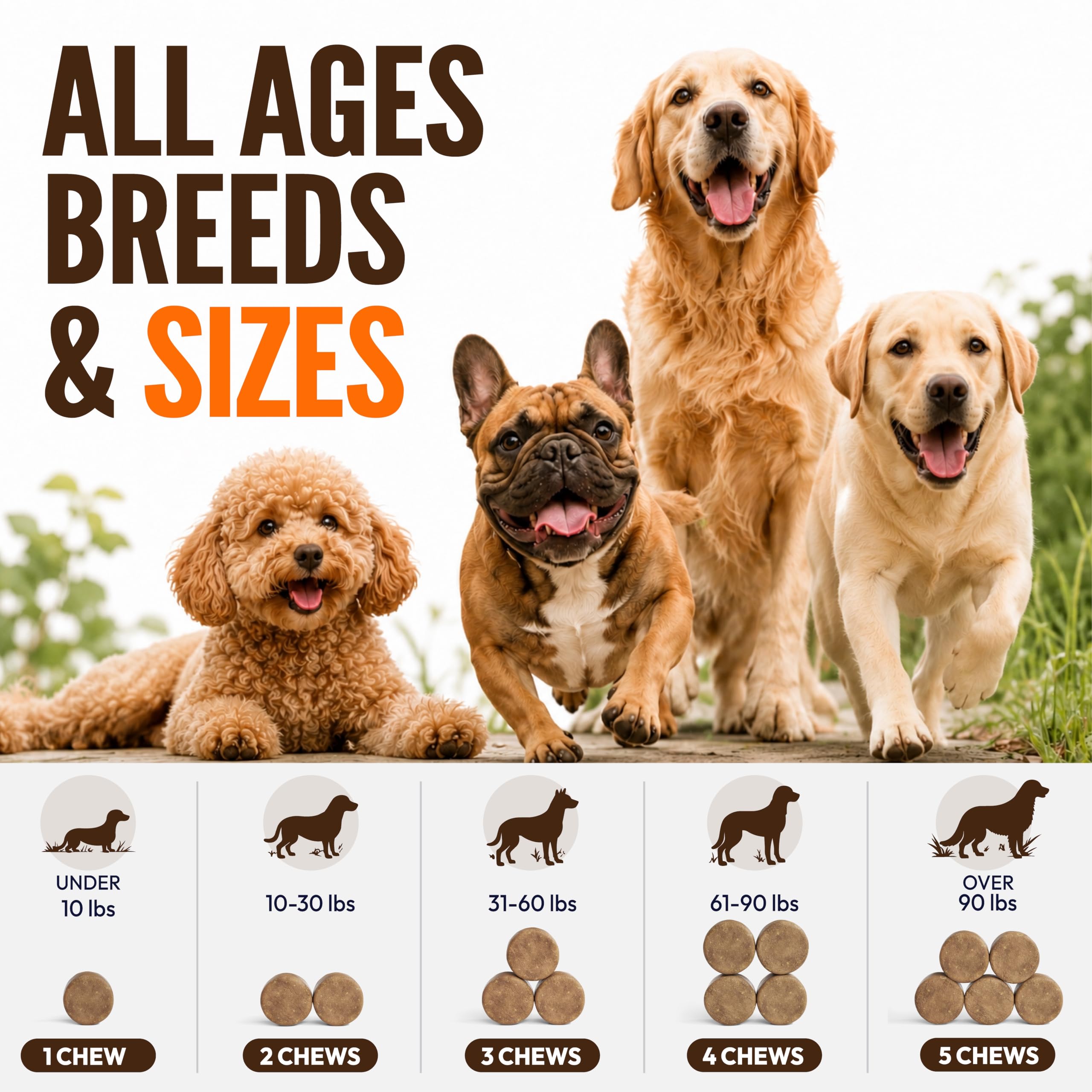 Petsology liste nutritionnelle sur pack pour transparence ingrédients