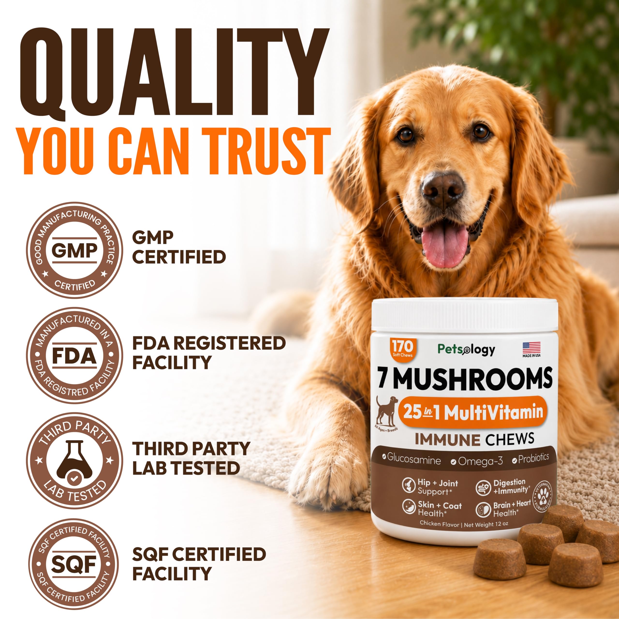 Petsology flacon ouvert et masticables visibles pour contrôle qualité