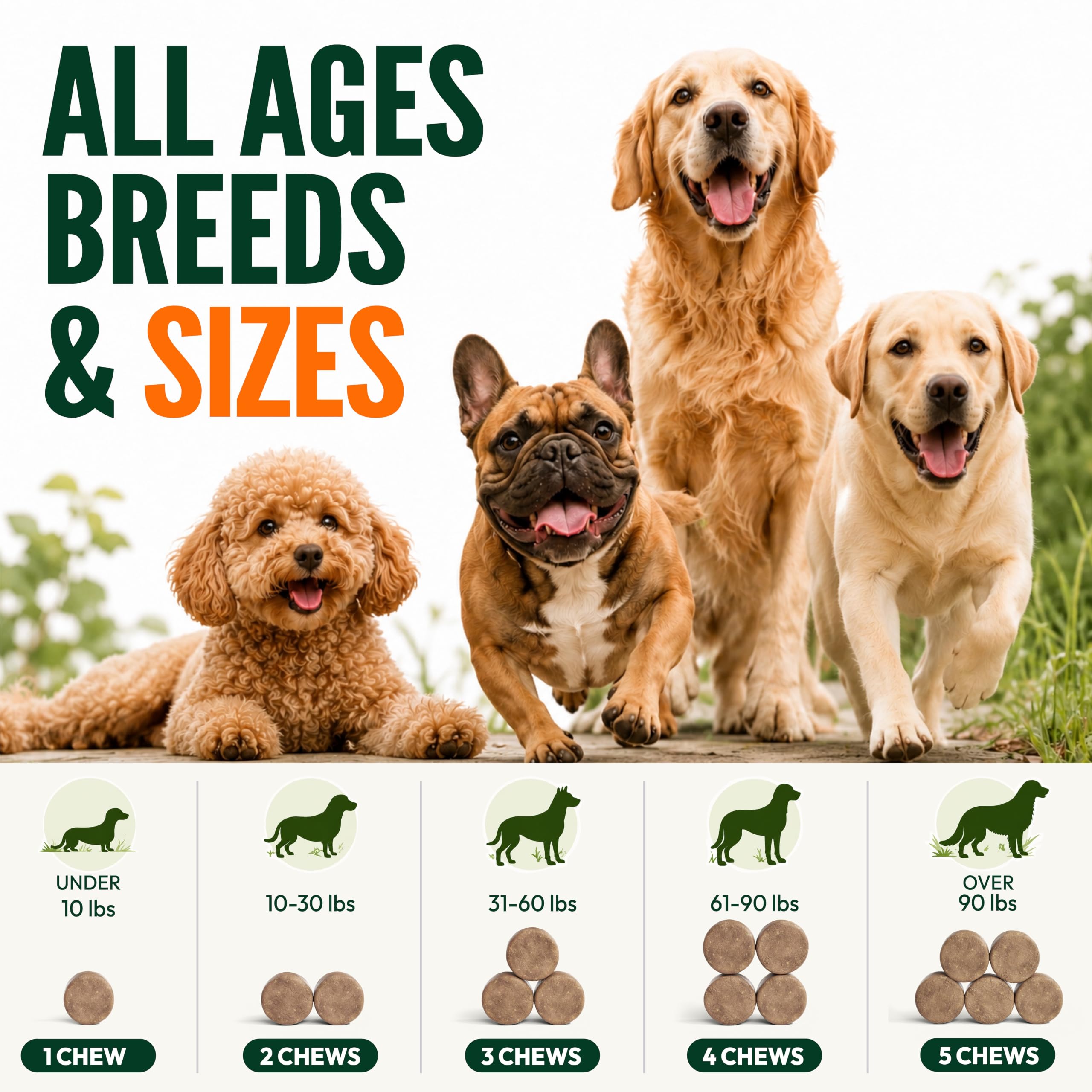 Petsology gros plan texture montrant ingrédients naturels