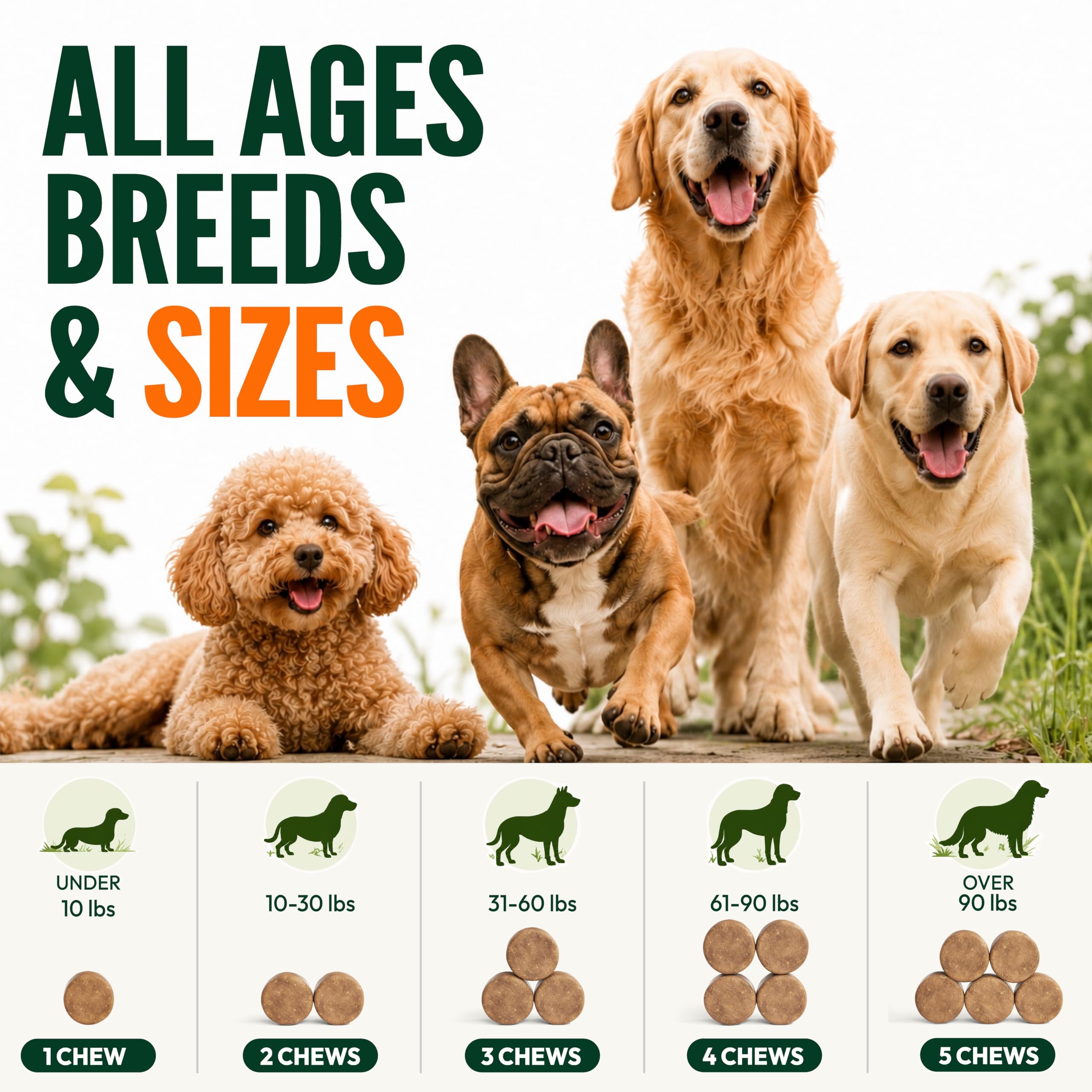 Petsology liste d'ingrédients naturels, formule douce pour chiens