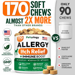 Petsology détail de texture des croquettes montrant qualité et appétence