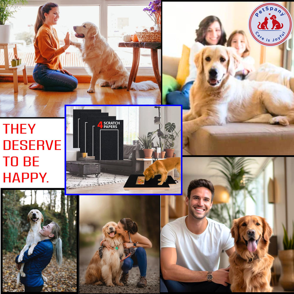 Petspany comparaison taille avec règle confirme dimensions 13,78x9,84 pouces pratiques