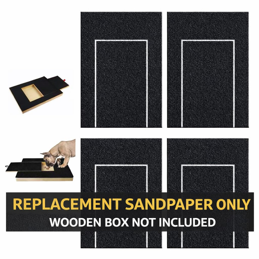 Petspany gros plan texture grain 80 pour limage précis et confortable