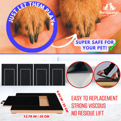 Petspany pose sur planche en bois assure alignement parfait et adhérence solide
