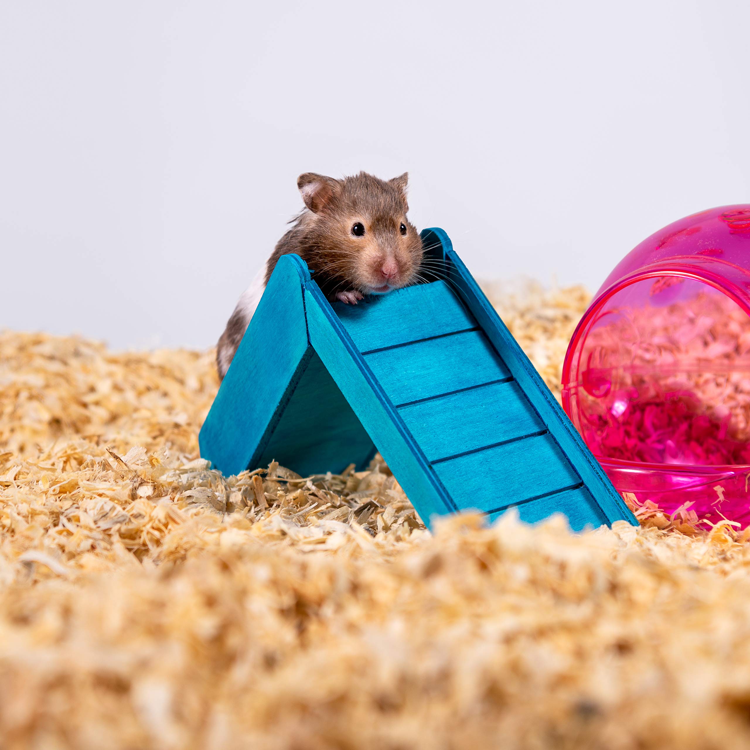 PETSPICK échelle taille 24L comparée à une main pour visualiser capacité