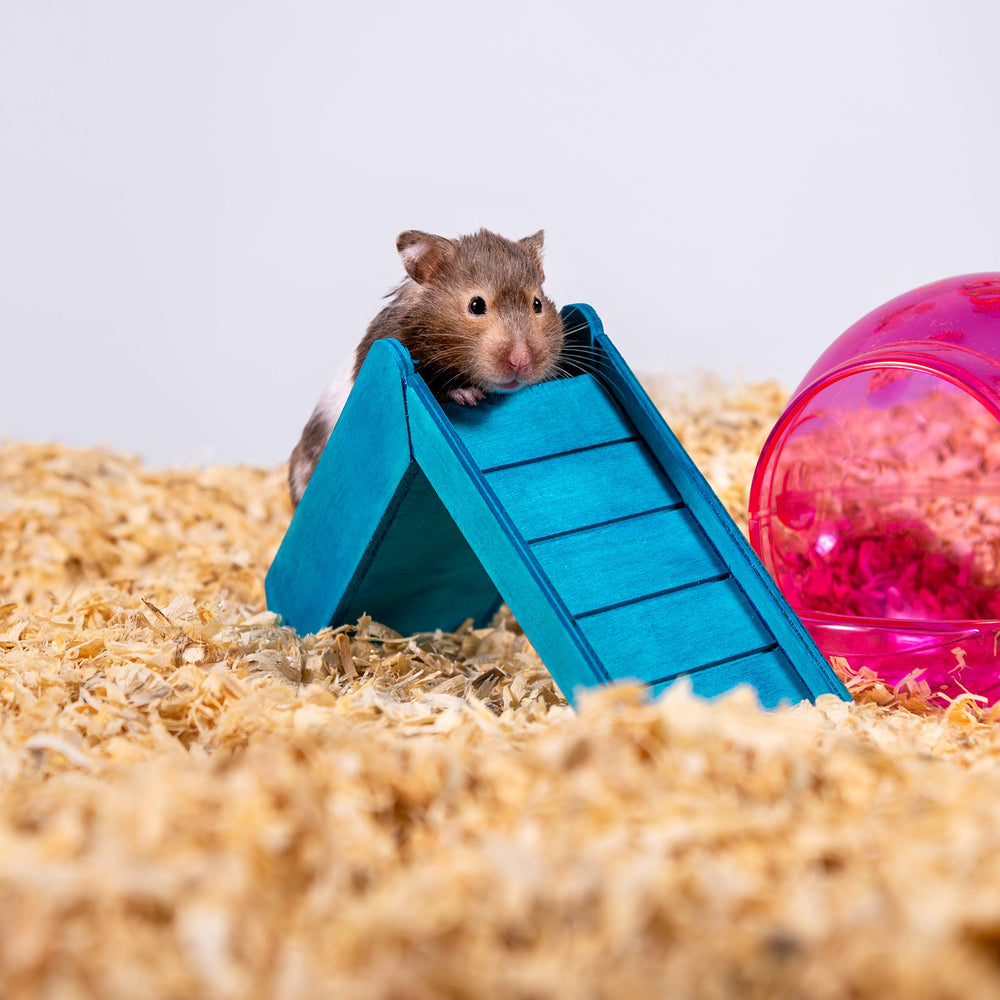 PETSPICK échelle taille 24L comparée à une main pour visualiser capacité