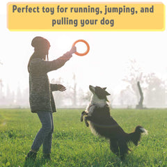 PetSpy chiot tenant l'anneau en gueule favorise entraînement actif