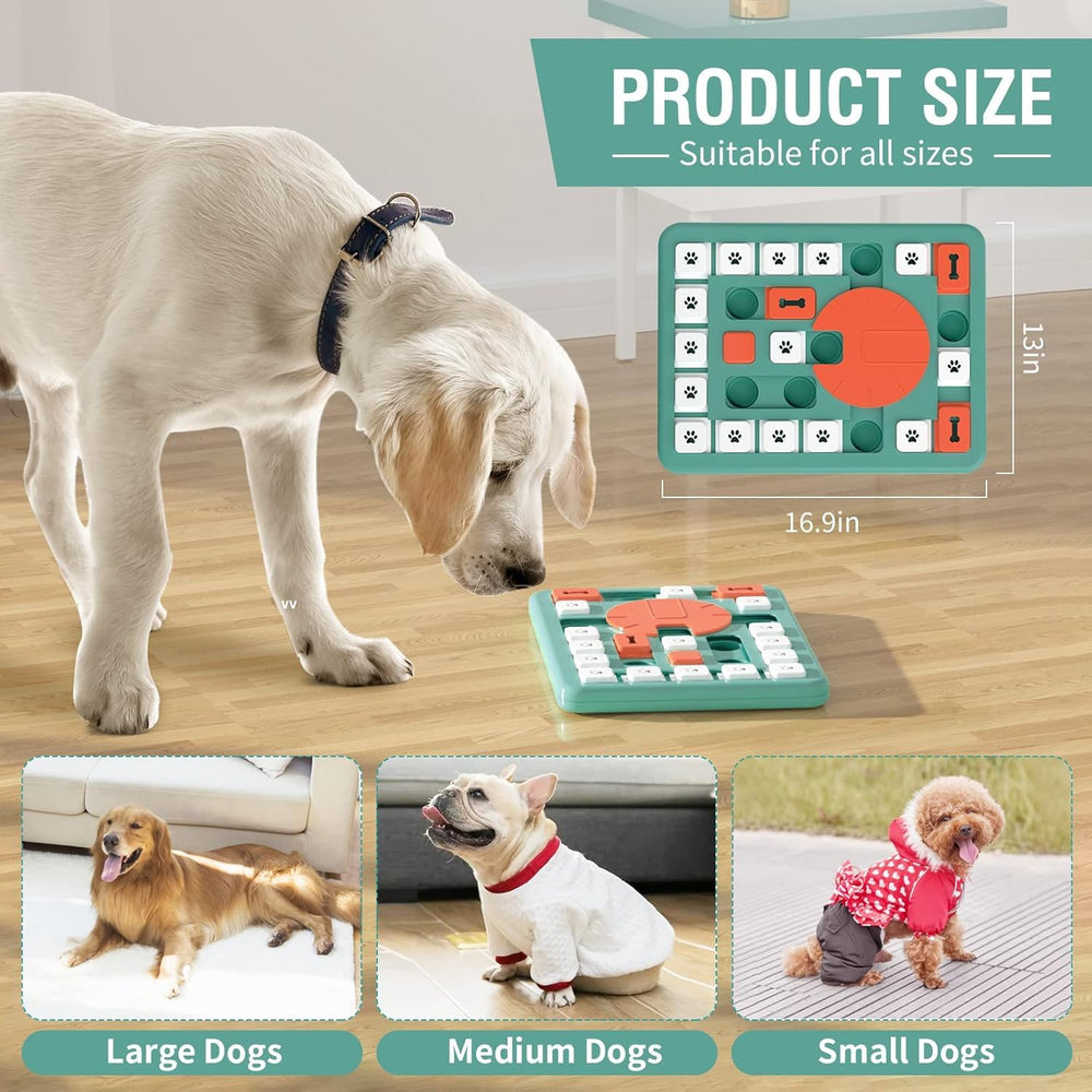 PETSTA détail de la sonnette intégrée stimulant l'attention du chien