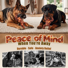 PETSTA chien mâchant l\'os montrant durabilité et plaisir