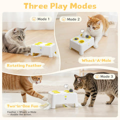 PETSWEET jouet en action avec chat chassant pour stimulation active