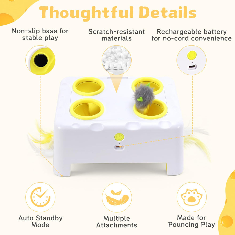 PETSWEET gros plan plume interchangeable pour relancer l’intérêt du chat