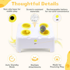 PETSWEET gros plan plume interchangeable pour relancer l’intérêt du chat