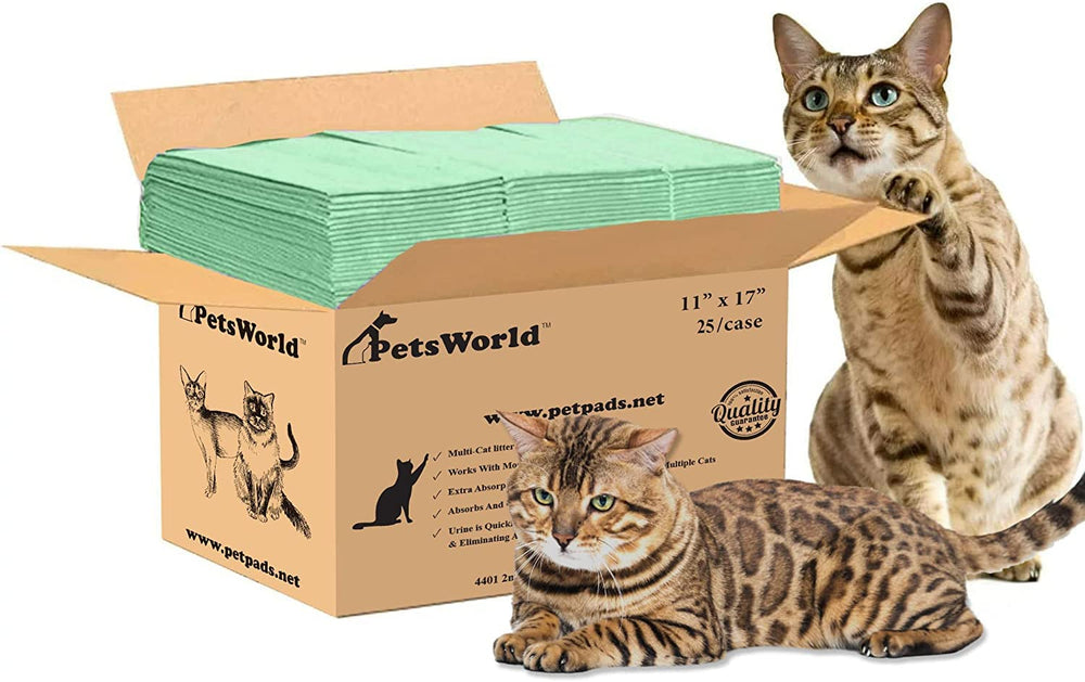 PETSWORLD emballage avant montrant pack de 25 et caractéristiques pratiques
