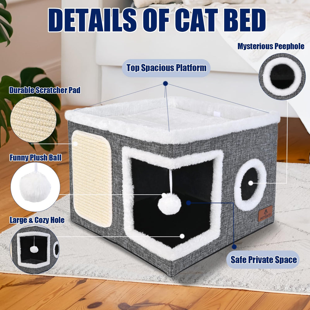 PETTDATE chat allongé sur la plateforme supérieure pour observation sécurisée