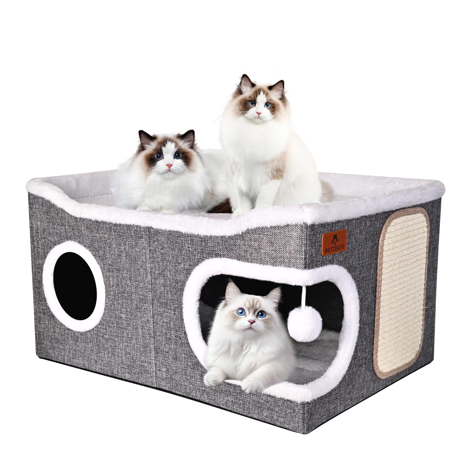 PETTDATE face avant du condo montrant design et rangement pratique