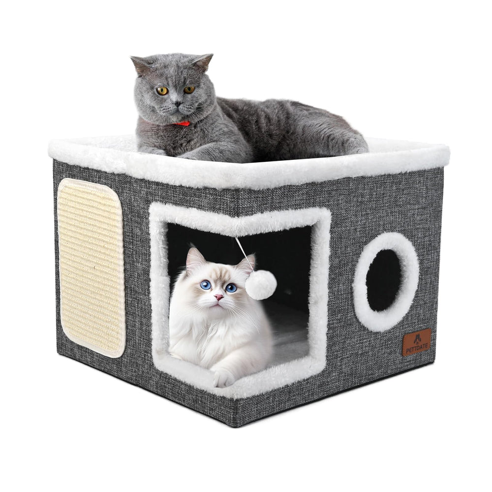 PETTDATE vue avant de la maison cube montrant design et stabilité
