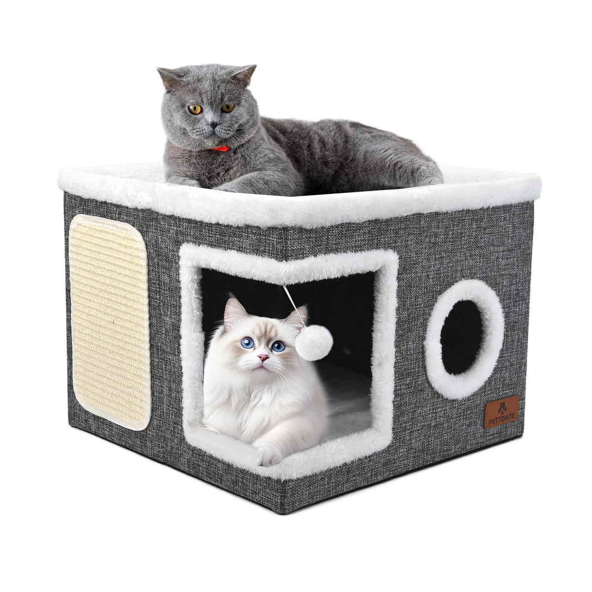 PETTDATE vue avant de la maison cube montrant design et stabilité