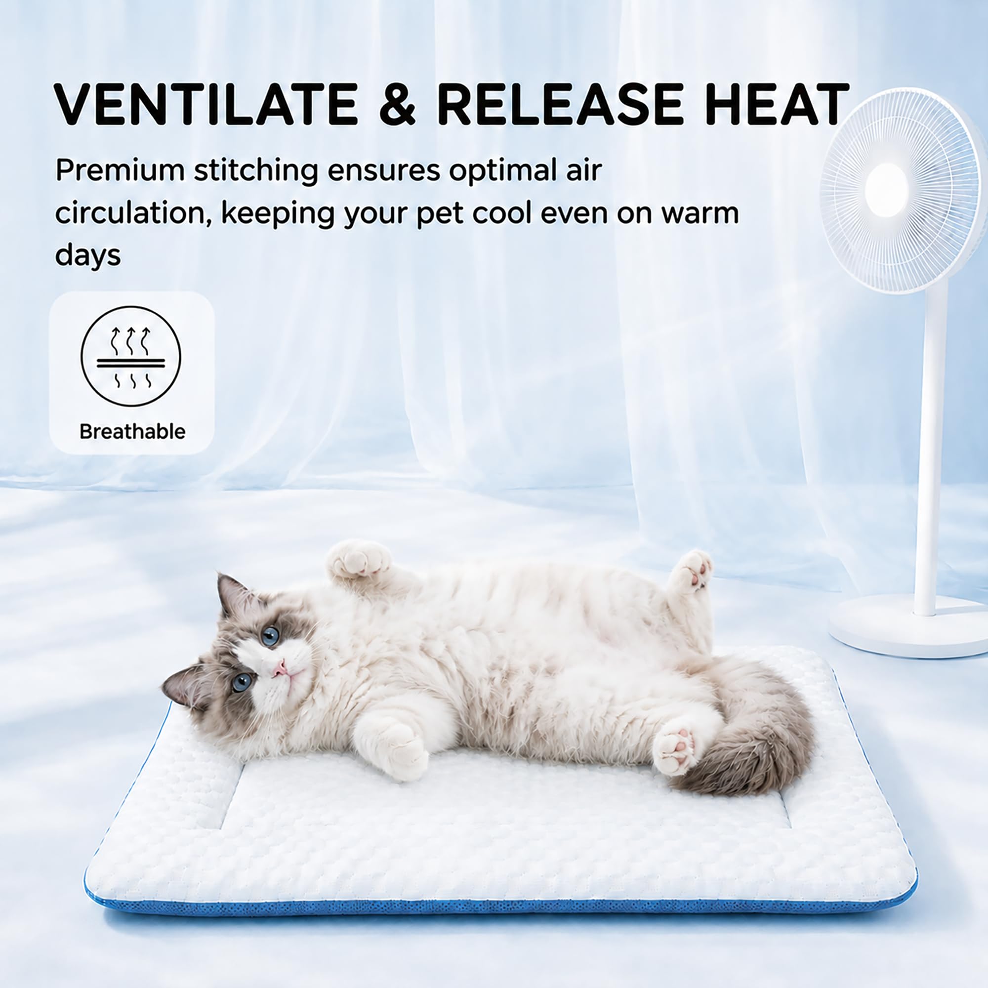 PetTemp chat allongé profitant fraîcheur et repos apaisé