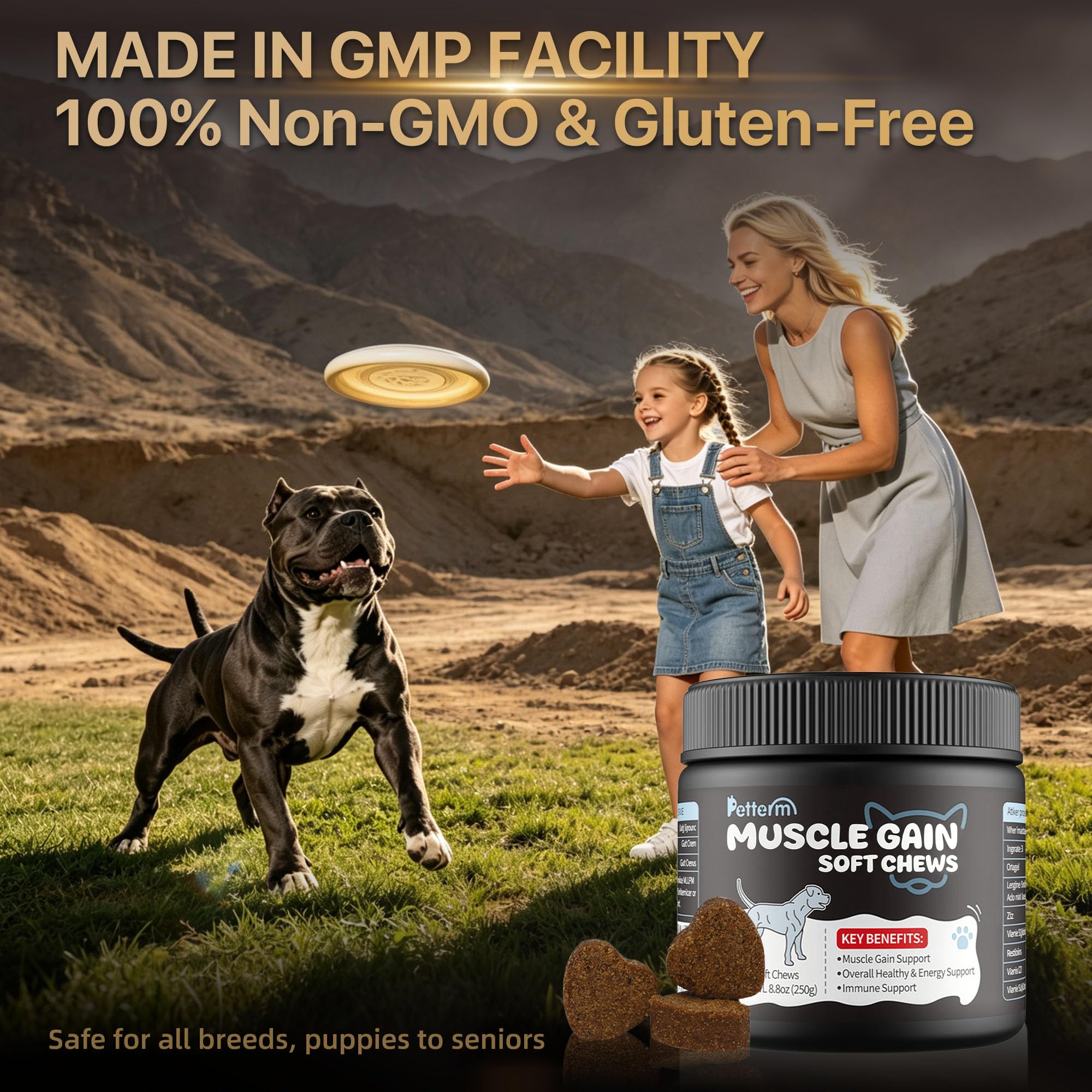 PETTERM chien senior mâchant un chew sur le canapé pour énergie douce