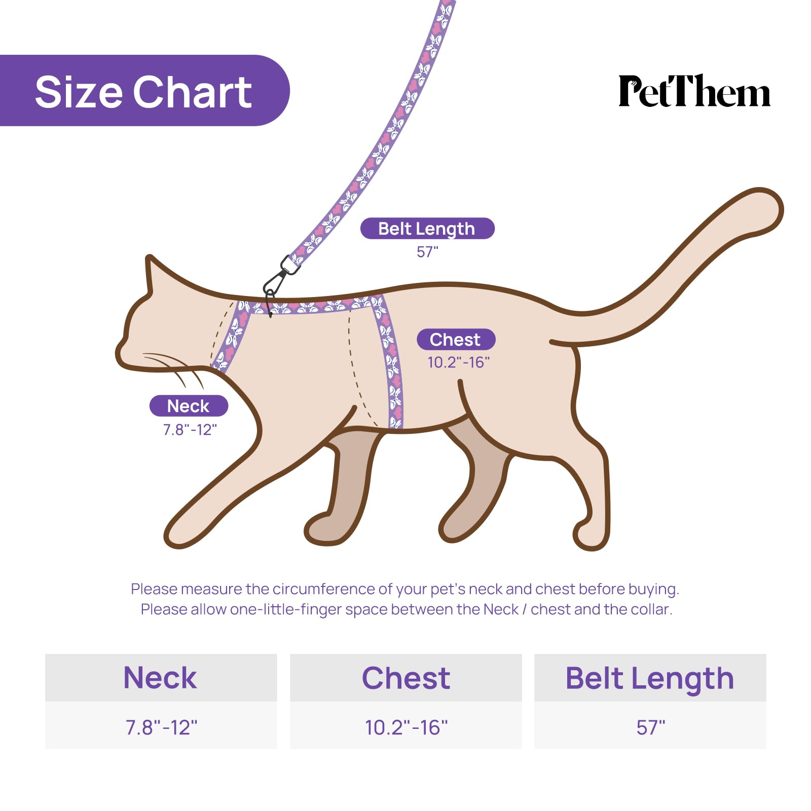 PetThem comparaison de taille pour mesurer et ajuster correctement